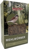 Pfiffikus Mehlwürmer